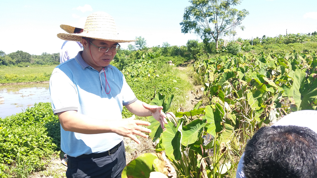 人生就是博-尊龙凯时中国官网