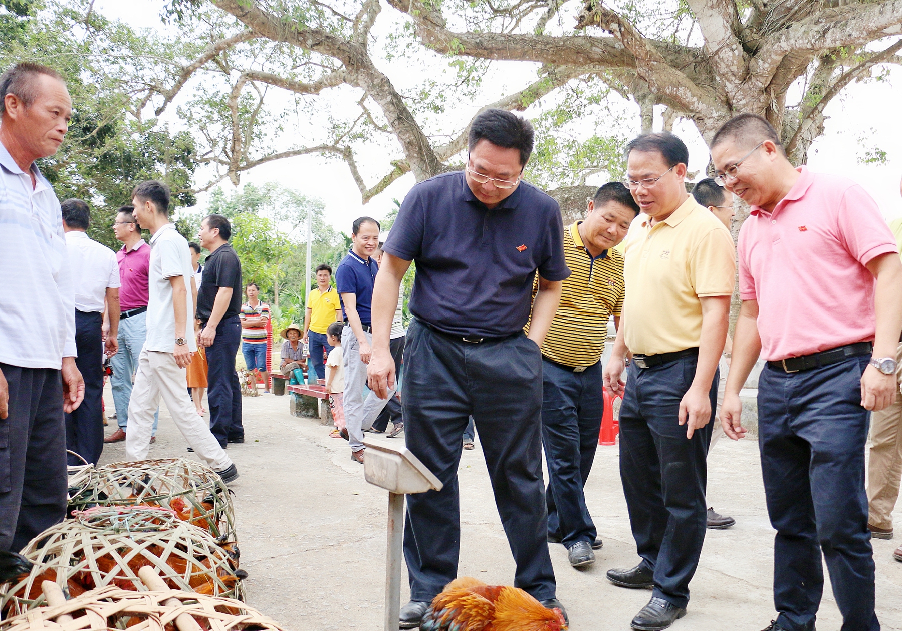人生就是博-尊龙凯时中国官网