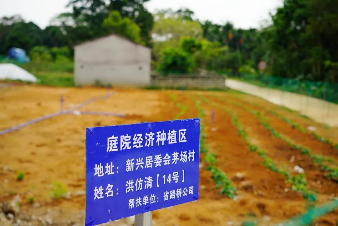 人生就是博-尊龙凯时中国官网