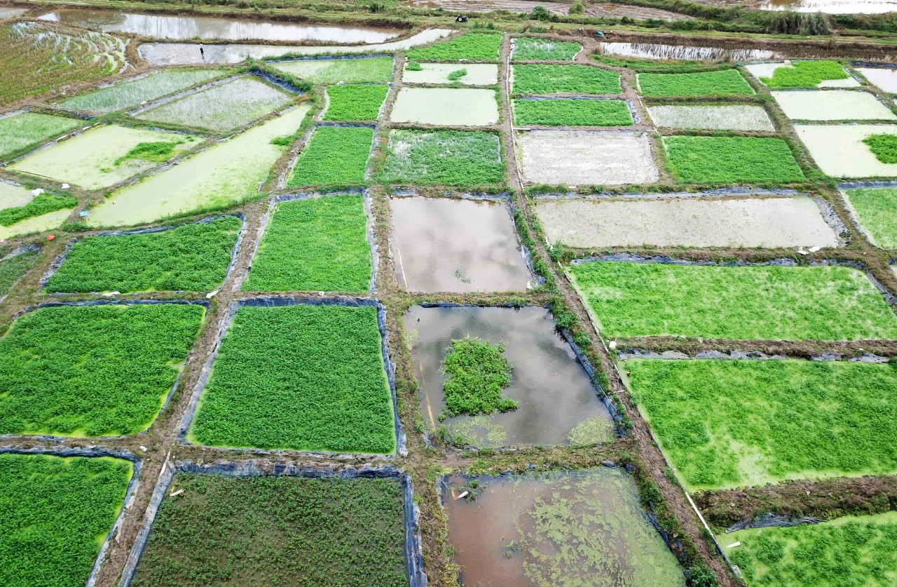 人生就是博-尊龙凯时中国官网