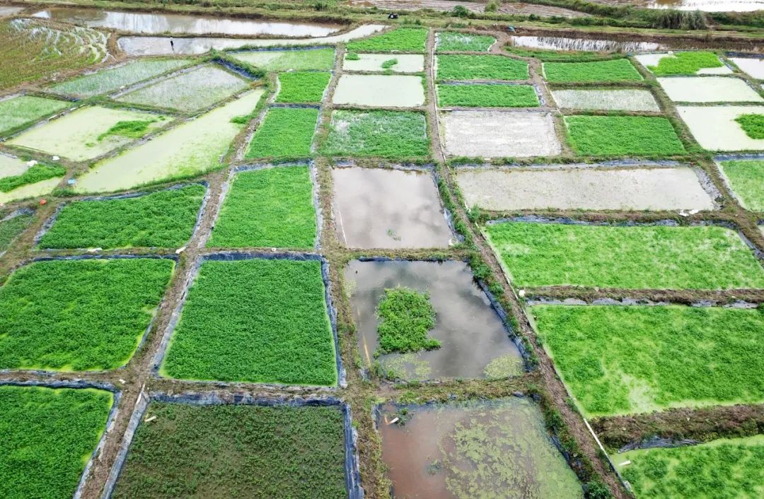 人生就是博-尊龙凯时中国官网